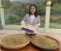 男性吃鐵皮石斛的10大好處和壞